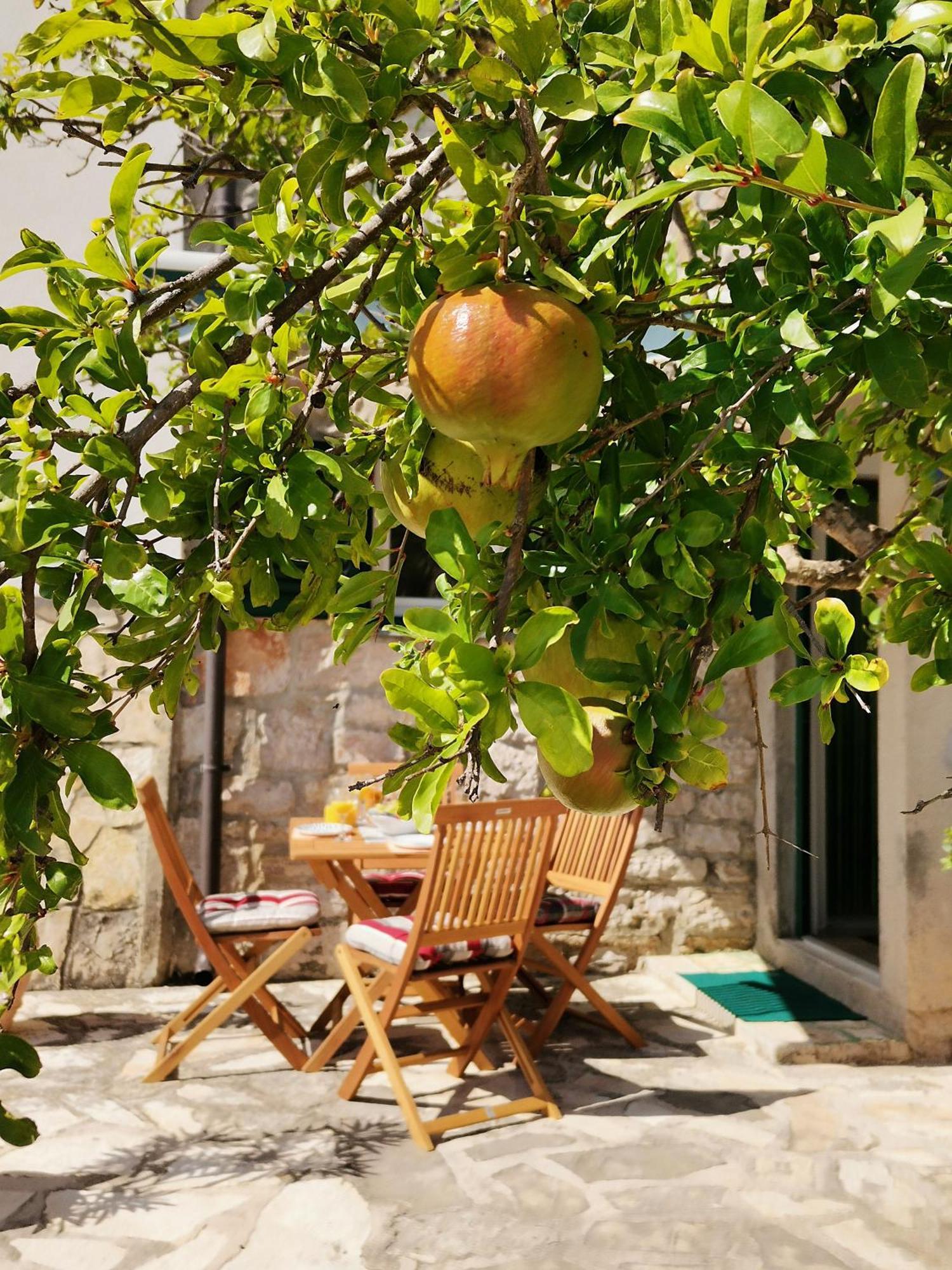 Charming Traditional Townhouse - Holiday Home Kata Jezera Bagian luar foto